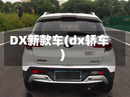 DX新款车(dx轿车)