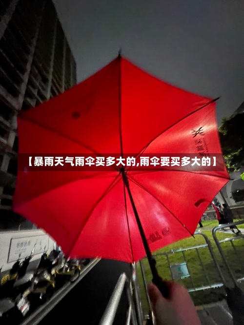 【暴雨天气雨伞买多大的,雨伞要买多大的】