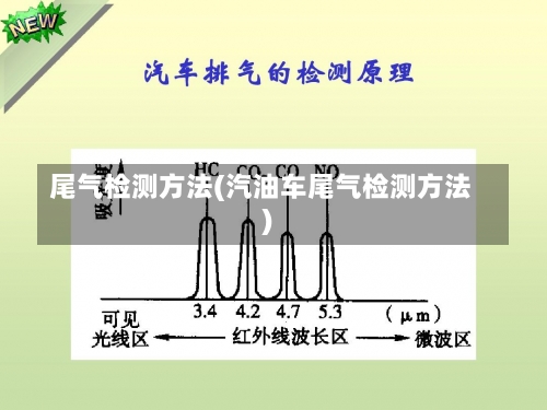 尾气检测方法(汽油车尾气检测方法)-第1张图片