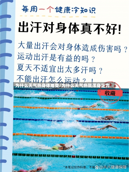 为什么天气热身体难受/为什么天气热就浑身乏力-第3张图片