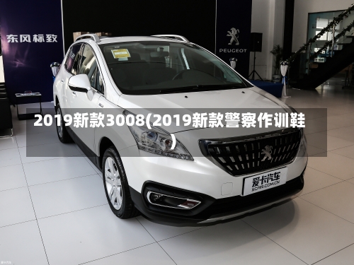 2019新款3008(2019新款警察作训鞋)-第1张图片