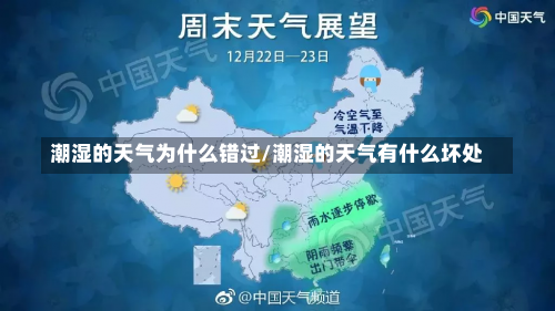 潮湿的天气为什么错过/潮湿的天气有什么坏处-第2张图片