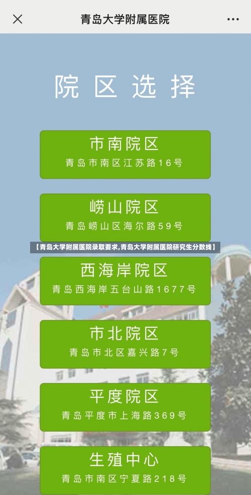 【青岛大学附属医院录取要求,青岛大学附属医院研究生分数线】-第2张图片