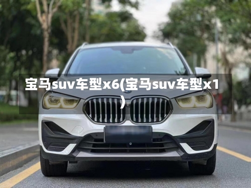 宝马suv车型x6(宝马suv车型x1)-第2张图片