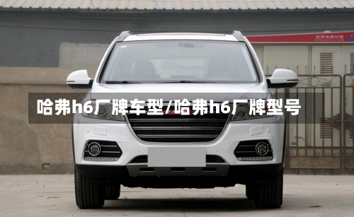 哈弗h6厂牌车型/哈弗h6厂牌型号-第1张图片