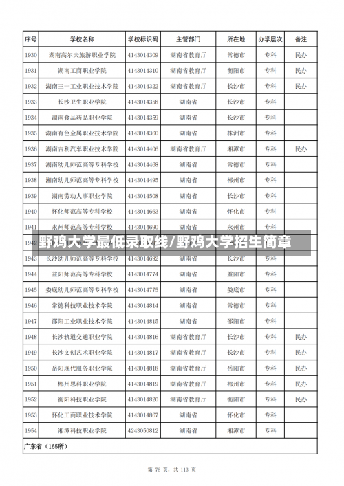 野鸡大学最低录取线/野鸡大学招生简章-第3张图片