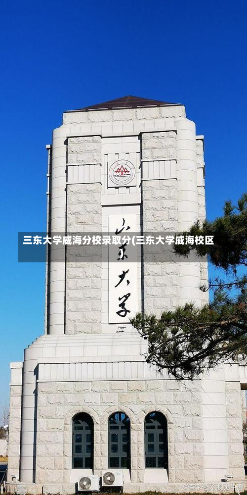 三东大学威海分校录取分(三东大学威海校区)-第1张图片