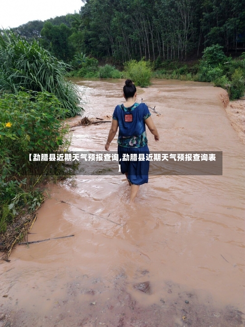 【勐腊县近期天气预报查询,勐腊县近期天气预报查询表】-第1张图片