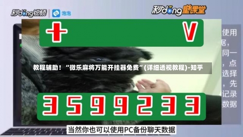 教程辅助！“微乐麻将万能开挂器免费”(详细透视教程)-知乎-第1张图片