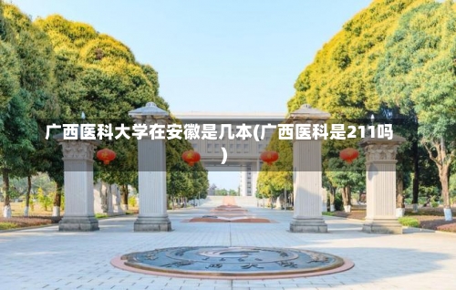 广西医科大学在安徽是几本(广西医科是211吗)-第2张图片