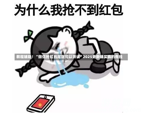 教程辅助！“微信抢红包尾数可以测试”2025更新确实真的有挂-第1张图片