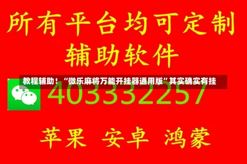 教程辅助！“微乐麻将万能开挂器通用版	”其实确实有挂-第2张图片