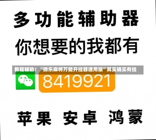 教程辅助！“微乐麻将万能开挂器通用版”其实确实有挂