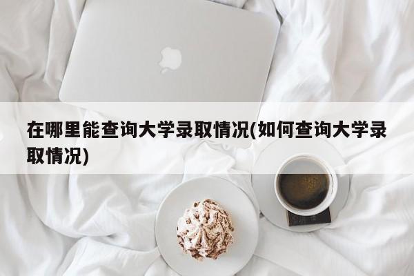 在哪里能查询大学录取情况(如何查询大学录取情况)