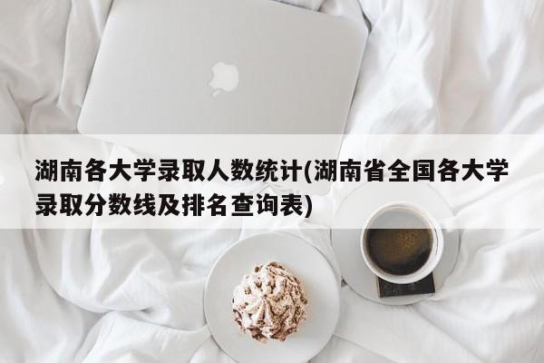 湖南各大学录取人数统计(湖南省全国各大学录取分数线及排名查询表)